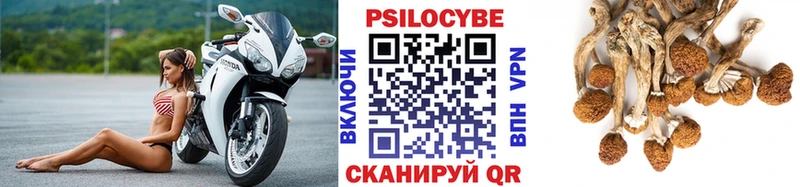 Псилоцибиновые грибы GOLDEN TEACHER  Семёнов 
